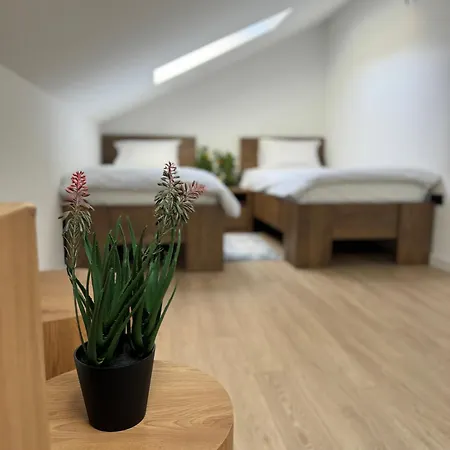 Cara Grand Apartment